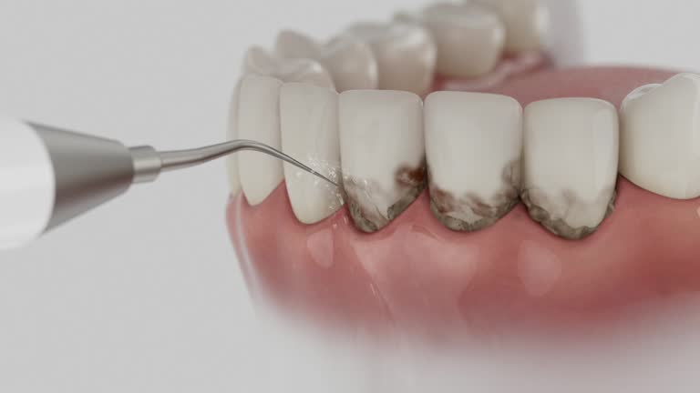 Reliable Dental contractor in Lebanon, NH by Dentist Open Now